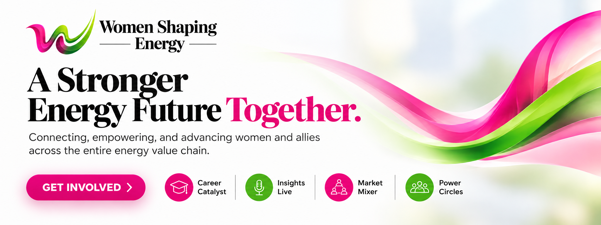 Women Shaping Energy (WSE) website